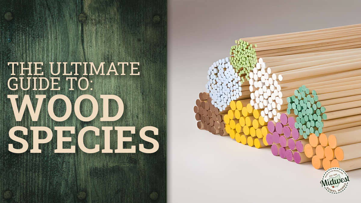 The Ultimate Guide to Wood Species
